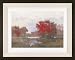 New Era Publishing SP103A Red Tallow Pond Framed Print - Steve Parker
