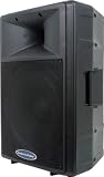 American Audio DLS - 15P Powered PA Speaker - B0013Y02L4