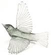 Lukeke Bird 2