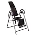 Stamina Seated Inversion Core Training System