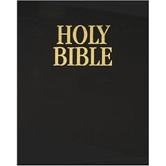 Holy Bible: New International Version With Binder