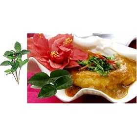 Panang Curry Thai Ready to Cook Set / 8 Servings