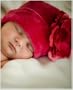 ~ Jamie Rae Raspberry Velvet Large Rose Hat *Many Rose Colors!* Child (3y/6y) Candy Pink