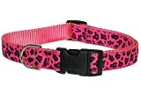 Medium Pink Leopard Dog Collar: 3/4" wide, Adjusts 13-20" - Made in USA.