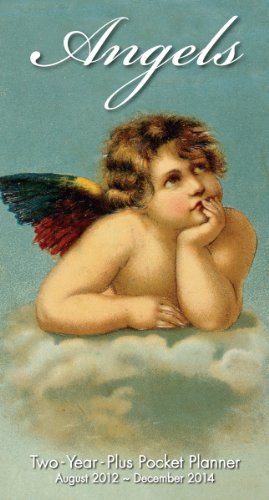 Angels 2013 Checkbook (calendar)