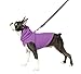Gooby Fleece Vest Hoodie Dog Sweater - Purple, Small - Warm Pullover Dog Hoodie with O-Ring Leash for Small to Medium Dogs