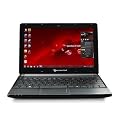 Packard Bell Packard Bell Dots C - Ordenador port�til 10.1 pulgadas (atom n2600, 1 GB de RAM, 1600 MHz, 320 GB, Win 7 Starter), color Negro- Teclado QWERTY espa�ol