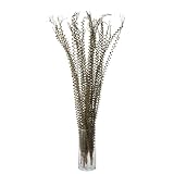 Lazy Susan Olive Lontar Flower Stalk 5 Piece Bunch