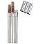 Stainless Steel Flask and Cigar Holder Save It Cuban