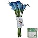 Luyue Calla Lily Bridal Wedding Bouquet Head Lataex Real Touch Flower Bouquets Pack of 20 (Blue)