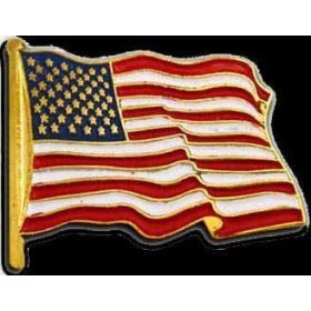 American Flag pin