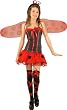 Childs Short Lady Bug Costume (Size:Medium 8-10)
