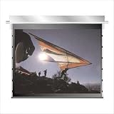 Videomatte 200: ABT Trap Door ElectriScreen Size: Video Format 150 diag.