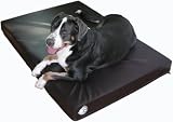OCK9 Hospital Grade Orthopedic Memory Foam Dog Bed - Black, Large