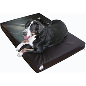 OCK9 Premium Orthopedic Memory Foam Dog Bed - Coffee, X-Large