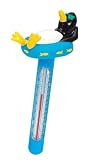 Penguin Pool Thermometer