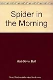 Spider in the morning