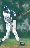 Baseball Home Run Decorative Switchplate Cover