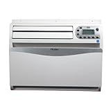 Haier ESAD4066 Paragon Eco-Conditioner 6,000-BTU Energy-Star Window Air Conditioner