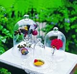 Bell Jar Large