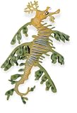 Safari Incredible Creatures: Leafy Seadragon
