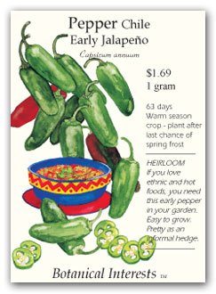 Pepper Chile Jalapeno Seed