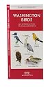Washington State Birds: An Introduction to Familiar Species (State Nature Guides)