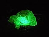 Homebrite Polyresin Outdoor Garden Landscape Solar Light Color Changing LED Turtle Decoration, 30851, Clear 41k8pButIBL. SL160 Homebrite Polyresin Outdoor Garden Landscape Solar Light Color Changing LED Turtle Decoration, 30851, Clear