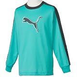 (プーマ)PUMA LS Tee 818042