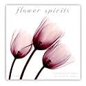 Flower Spirits 2008 Wall Calendar