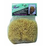 Intex Supply Co. WS6570 Genuine Sea Sponge