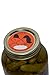Texas Hill Country Hot Dill pickles 32oz