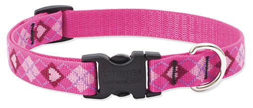 Lupine® 3/4″ Puppy Love 13-22 Adjustable Dog Collar