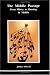 The Middle Passage: From Misery to Meaning in Midlife (Studies in Jungian Psychology By Jungian Analysts)