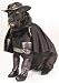 Search : Zorro Pet Costume