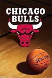 (22x34) Chicago Bulls (Logo, Basketball) Sports Poster Print
