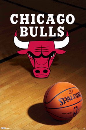 Chicago Bulls Poster Print, 22x34