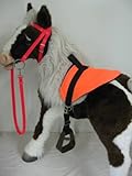 Butterscotch & S'Mores Interactive Horse Saddle Set, Neon Orange