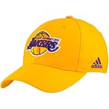 NBA Men's Los Angeles Lakers Structured Flex Hat - Tx19Z