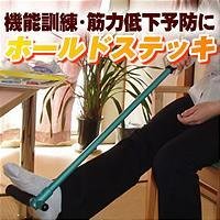 ホールドステッキ