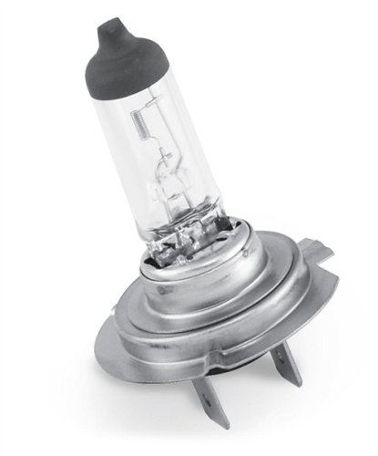 CandlePower Halogen Headlight Bulbs HALOGEN HDLITE BULB H7 12V 55W CLRH7LL