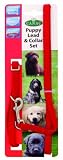 Canac Puppy Collar & Lead Set 10mm Red