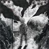 Image of album by Verbal Delirium