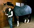 Moxie Equestrian Techno-Sheet with Patent Pending Magnet Closure