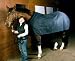 Moxie Equestrian Techno-Sheet with Patent Pending Magnet Closure