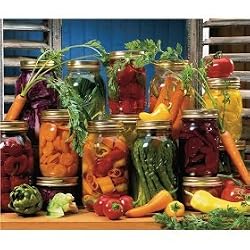 Springbok Canned Veggies 500 Piece Jigsaw Puzzle