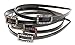 L. Erickson Swarovski Pave Buckle Headband