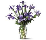 Teleflora's Incredible Iris