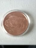 One AVDP Ounce .999 Fine Copper Round: Buffalo Head