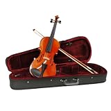 Y & D SV 101 1/16 Size Beginner's Violin with Case and Accessories